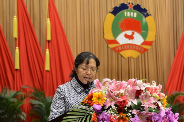 陈曼莉委员发言