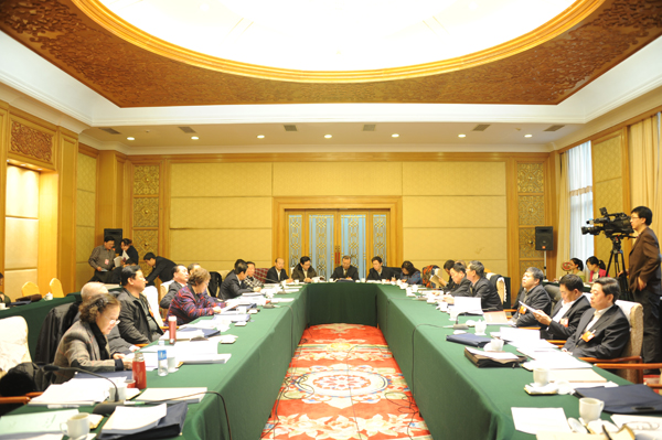 政协委员进行小组讨论