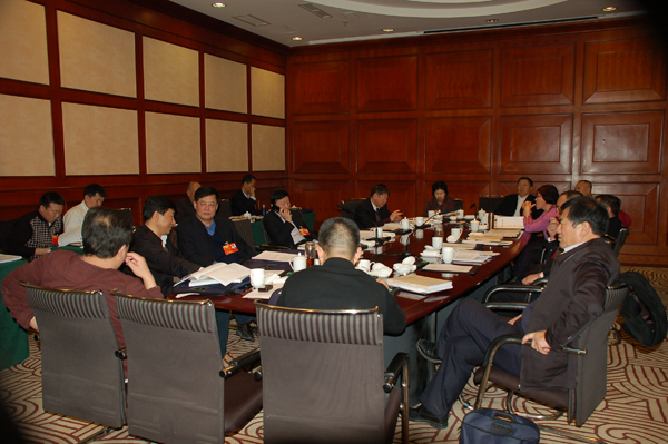 政协委员进行小组讨论