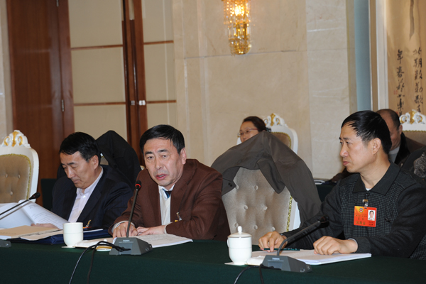 政协委员进行小组讨论