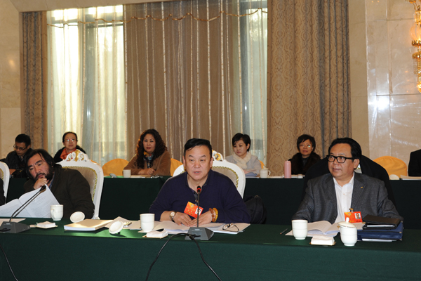 政协委员进行小组讨论