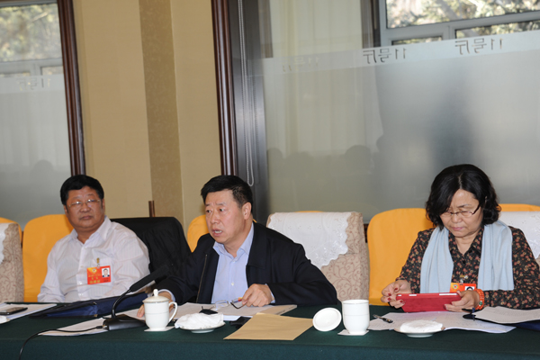 政协委员进行小组讨论