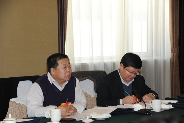 政协委员进行小组讨论