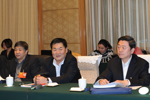 自治区政协主席任亚平参加小组讨论