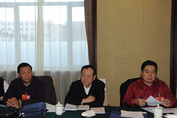 自治区政协副主席杨成旺参加小组讨论