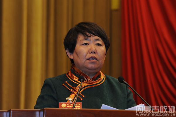 大会发言