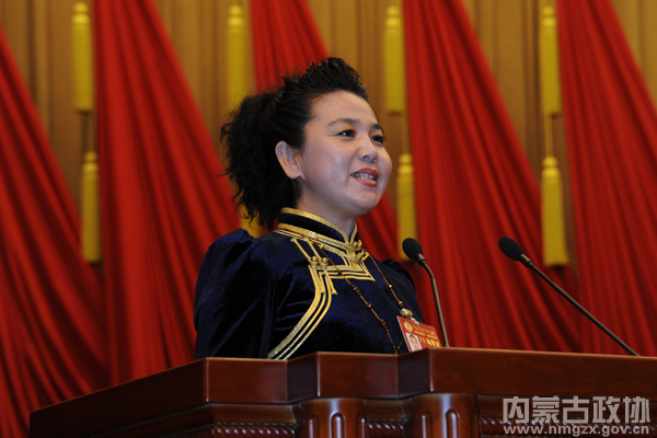 大会发言