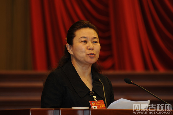 大会发言