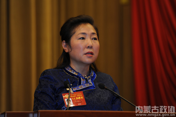 大会发言
