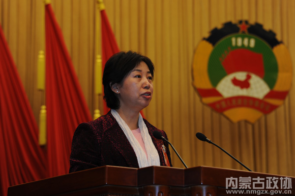 大会发言