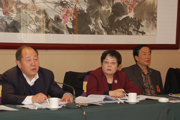 陈羽参加政协分组讨论政府工作报告